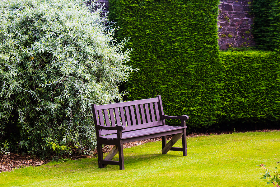 klassische Gartenbank aus Holz